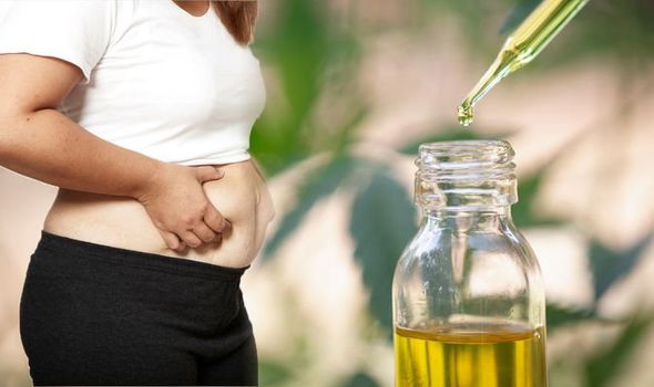 Is CBD A Cause for your Stomach Upset?