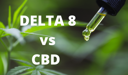 Cbd Vs. Delta 8: What Are The Key Differences Between These Two?