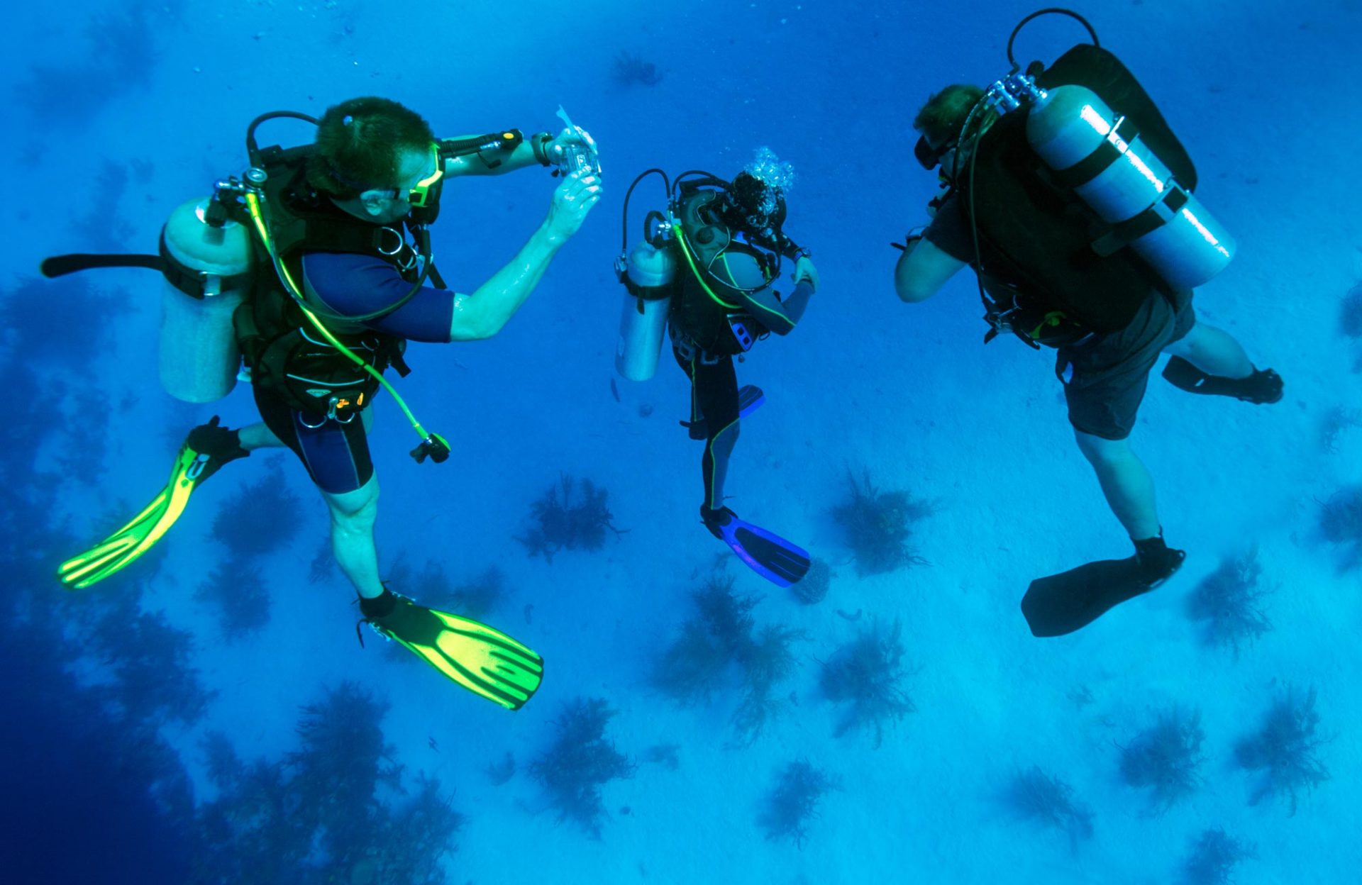 The Top 10 Must-Have Pieces Of Diving Gear For Beginners