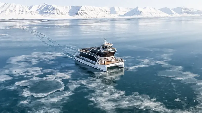 The Growing Popularity of Wildlife Observation Cruises